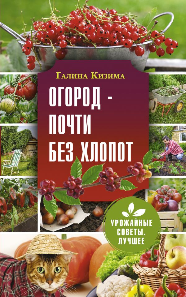 фото Книга огород - почти без хлопот аст