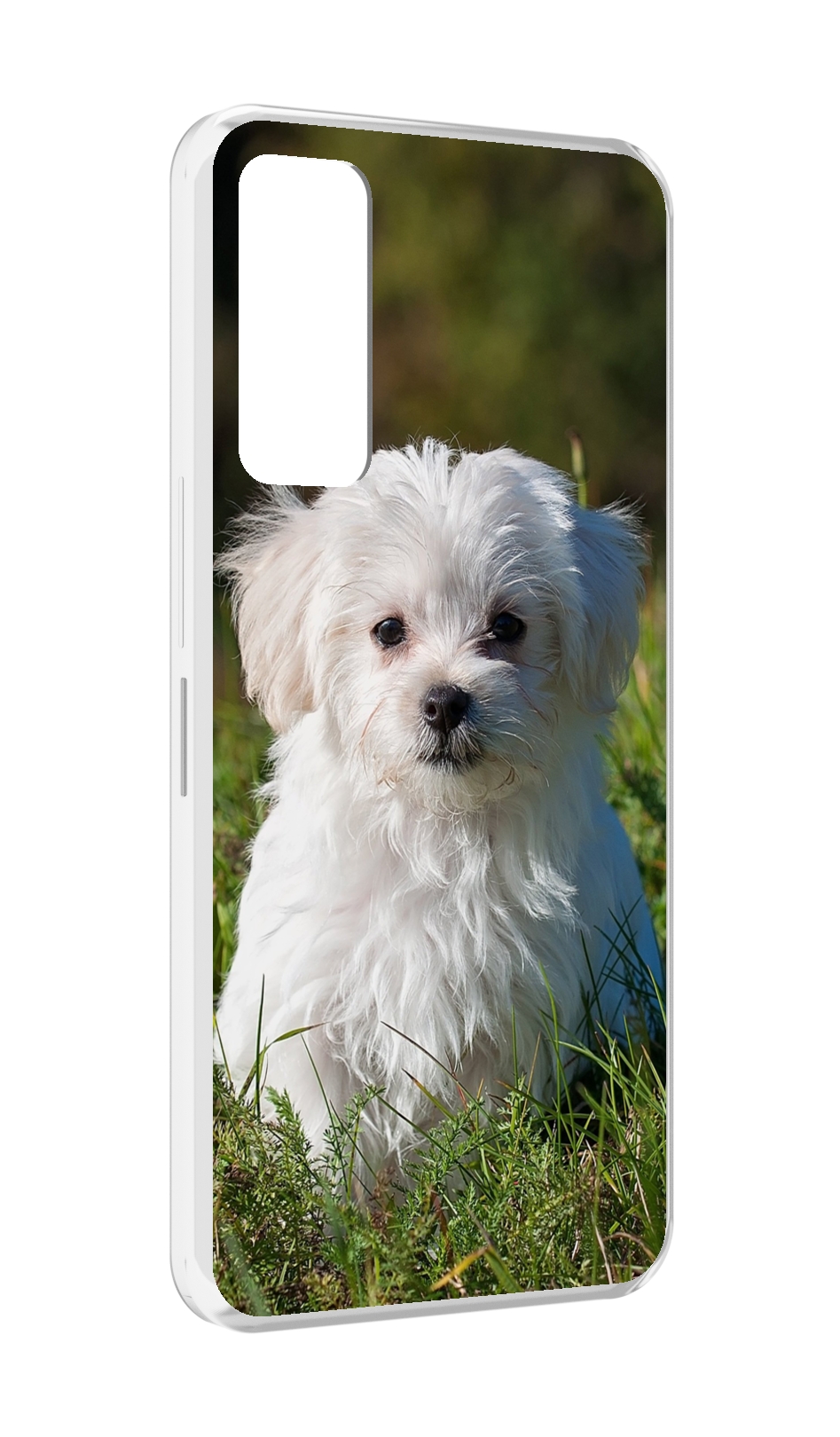 Чехол MyPads мальтииская-болонка для TCL 30 / TCL 30 5G / TCL 30+ plus, Прозрачный, Tocco
Чехол MyPads мальтииская-болонка для TCL 30 / TCL 30 5G / TCL 30+ plus, Прозрачный, Tocco