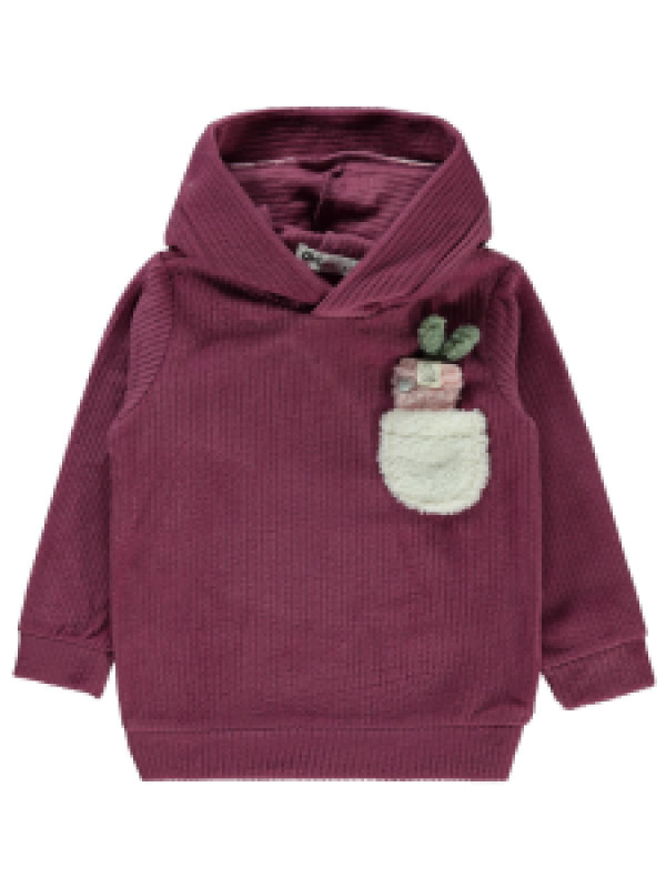 Толстовка Civil 19A492609K21-1, 4-5 лет, сливовый (доставка из-за рубежа), 19A492609K21
Толстовка Civil 19A492609K21-1, 4-5 лет, сливовый (доставка из-за рубежа), 19A492609K21