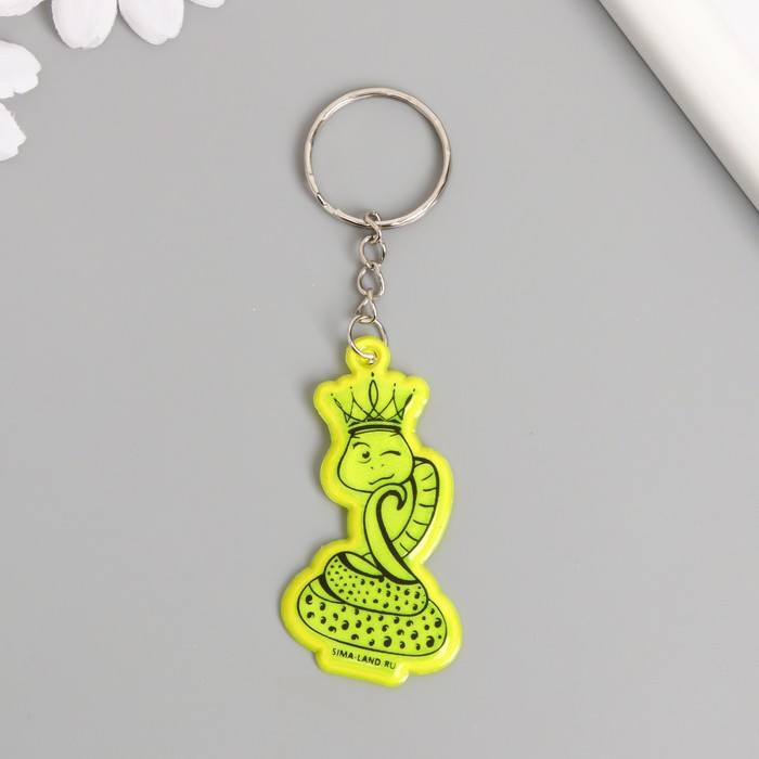 Брелок женский NoBrand 7701546 зеленый
Брелок женский NoBrand 7701546 зеленый