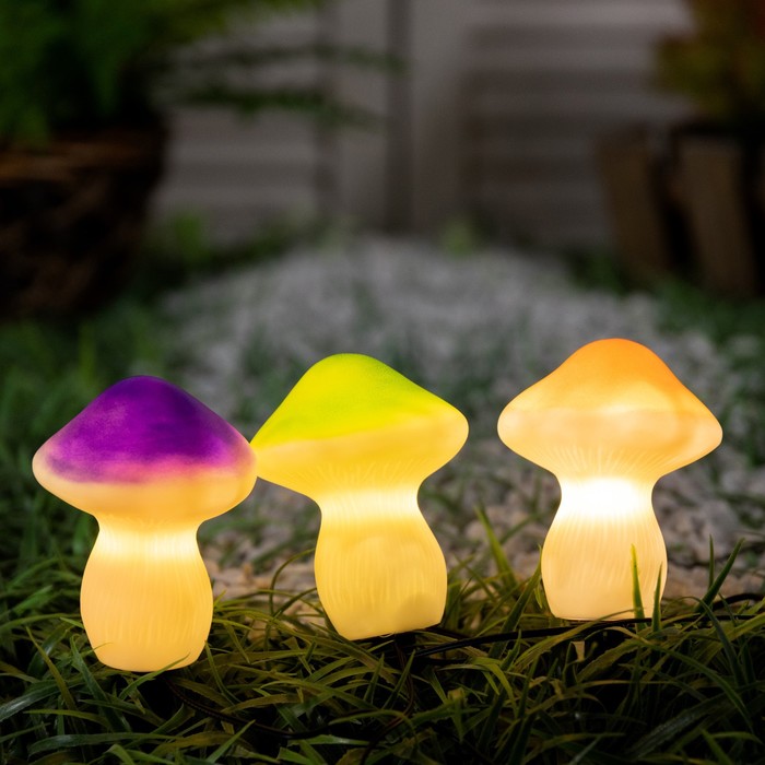 Садовый светильник Luazon Lighting на солнечной батарее Грибы, 21 см, 3 LED, теплое белое
Садовый светильник Luazon Lighting на солнечной батарее Грибы, 21 см, 3 LED, теплое белое
