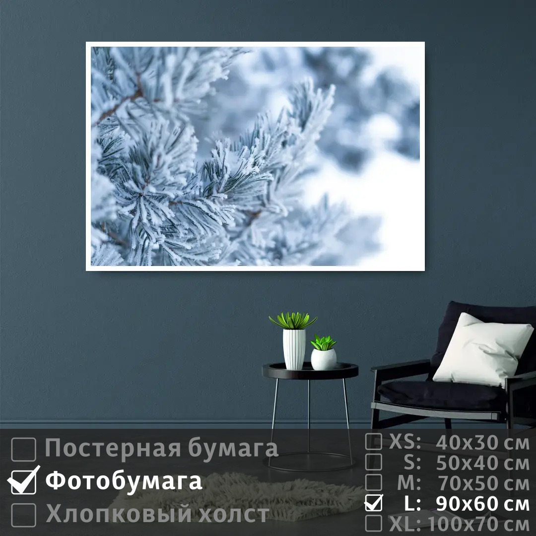 Постер на фотобумаге ПолиЦентр Ветка сосны в зимнем лесу 90х60 см, ВеткаСосныВЗимнемЛесу
Постер на фотобумаге ПолиЦентр Ветка сосны в зимнем лесу 90х60 см, ВеткаСосныВЗимнемЛесу