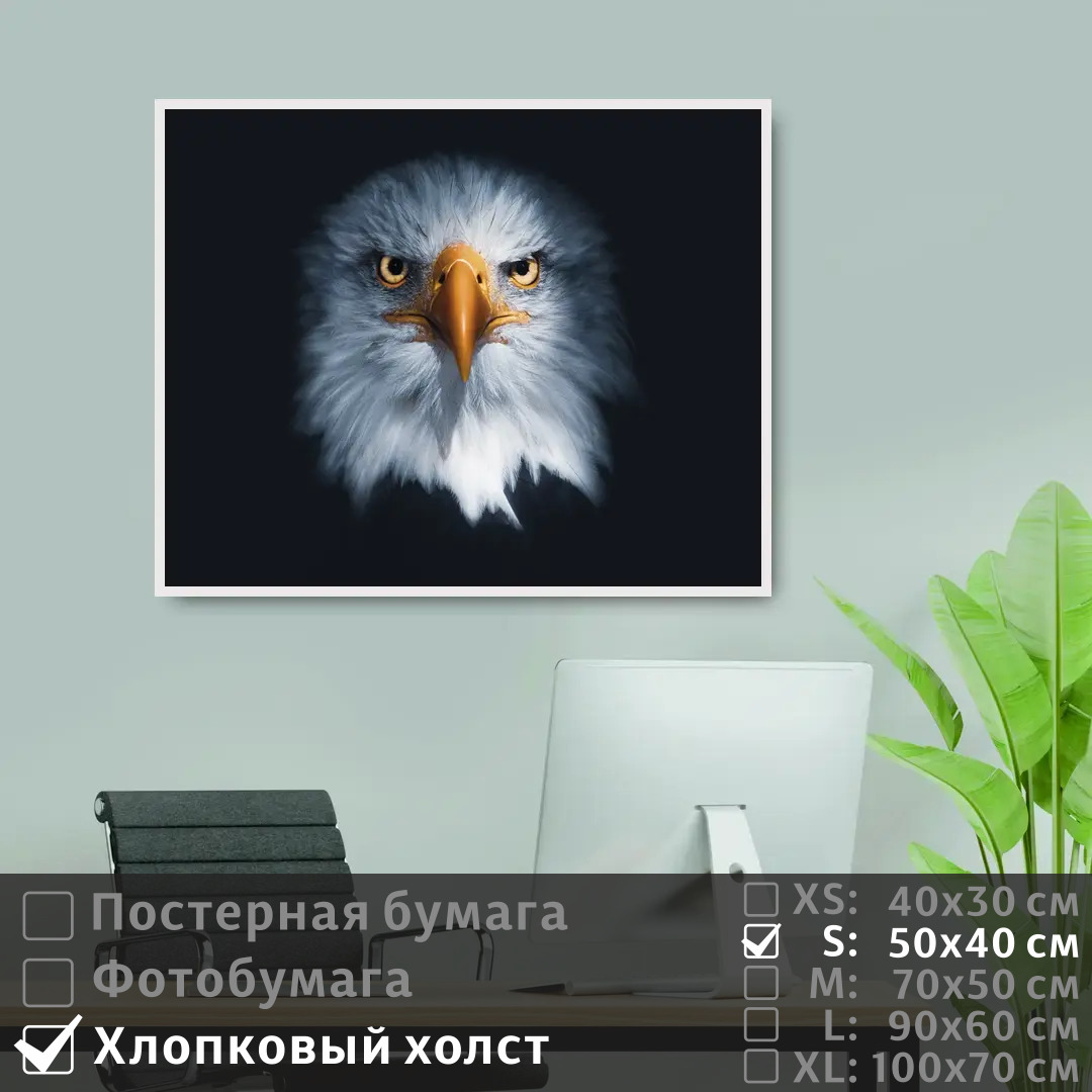Постер на холсте ПолиЦентр Хищная сова с оранжевым клювом 50х40 см, ХищнаяСоваСОранжевымКлювом
Постер на холсте ПолиЦентр Хищная сова с оранжевым клювом 50х40 см, ХищнаяСоваСОранжевымКлювом
