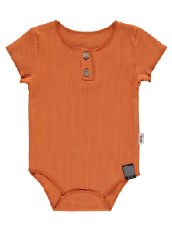 Боди Civil 14330E831SS1, 9-12 мес, оранжевый (доставка из-за рубежа), 14330E831SS1
Боди Civil 14330E831SS1, 9-12 мес, оранжевый (доставка из-за рубежа), 14330E831SS1