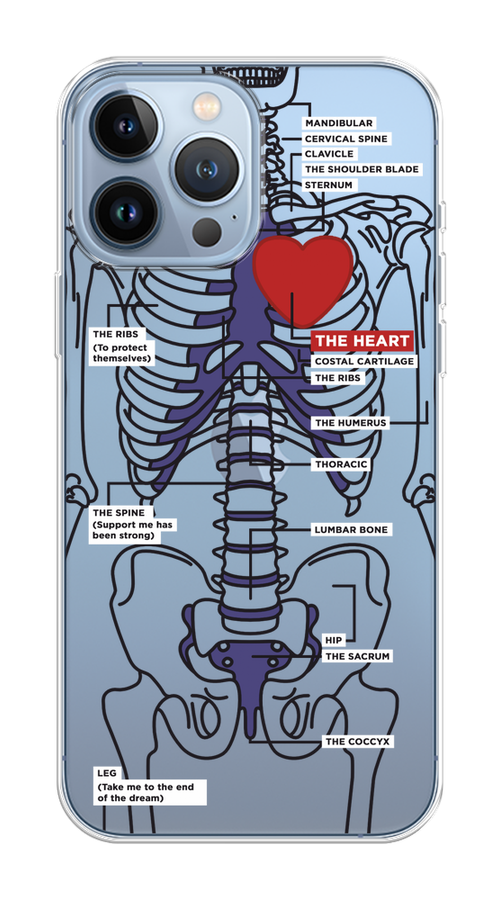 Чехол Homey на Apple iPhone 13 Pro Max "Скелет человека", Прозрачный;синий;красный, 14450-1
Чехол Homey на Apple iPhone 13 Pro Max "Скелет человека", Прозрачный;синий;красный, 14450-1