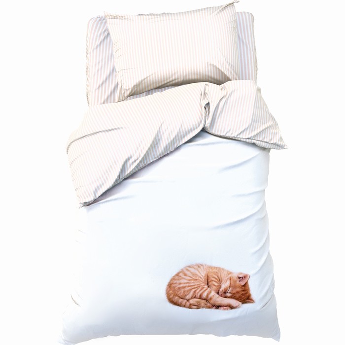 Постельное бельё Этель Кitty, 1.5 сп., 143х215 см., 150х214 см., 50х70 см. - 1 шт., бязь, Белый, Dino
Постельное бельё Этель Кitty, 1.5 сп., 143х215 см., 150х214 см., 50х70 см. - 1 шт., бязь, Белый, Dino