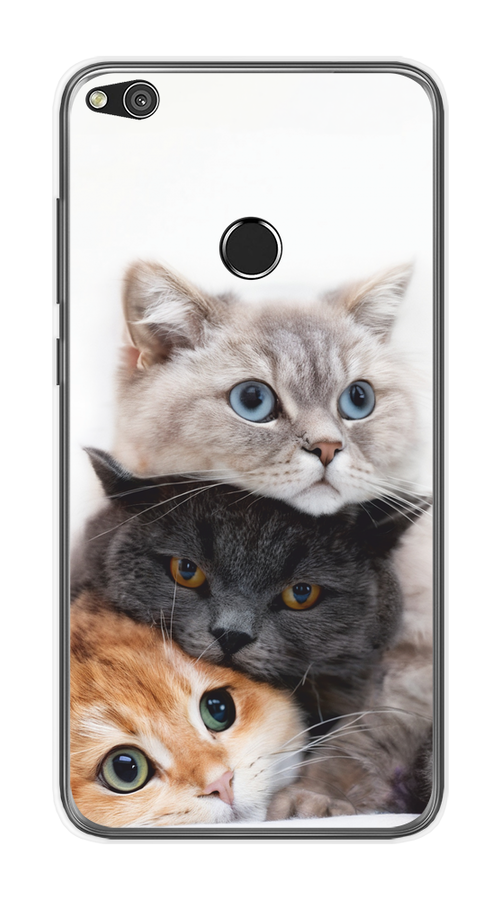 Чехол на Honor 8 Lite/Huawei P8 Lite "Пушистые мордашки", Серый;черный;оранжевый, 61550-1
Чехол на Honor 8 Lite/Huawei P8 Lite "Пушистые мордашки", Серый;черный;оранжевый, 61550-1