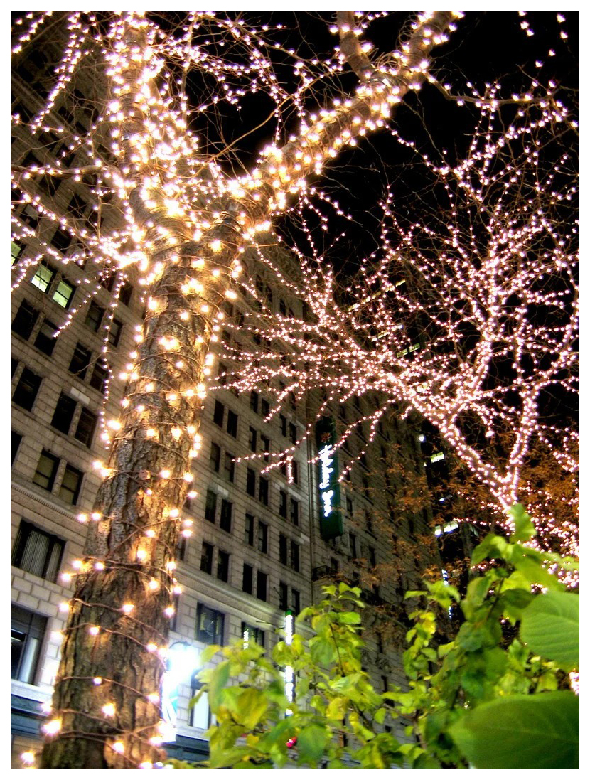 Клип лайт Laitcom CL-LED-30-300-WW 3х10 м белый теплый
Клип лайт Laitcom CL-LED-30-300-WW 3х10 м белый теплый