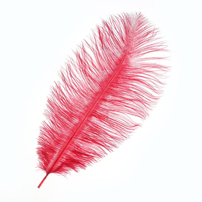 Перо для декора, размер: 25-30 см, цвет красный 
Перо для декора, размер: 25-30 см, цвет красный
