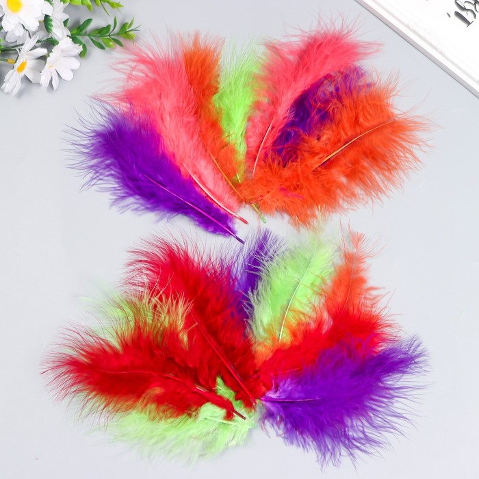 Набор декоративных перьев индейки "Рукоделие", ассорти 4, 20 шт, длина пера 13-16 см, Imagine 
Набор декоративных перьев индейки "Рукоделие", ассорти 4, 20 шт, длина пера 13-16 см, Imagine