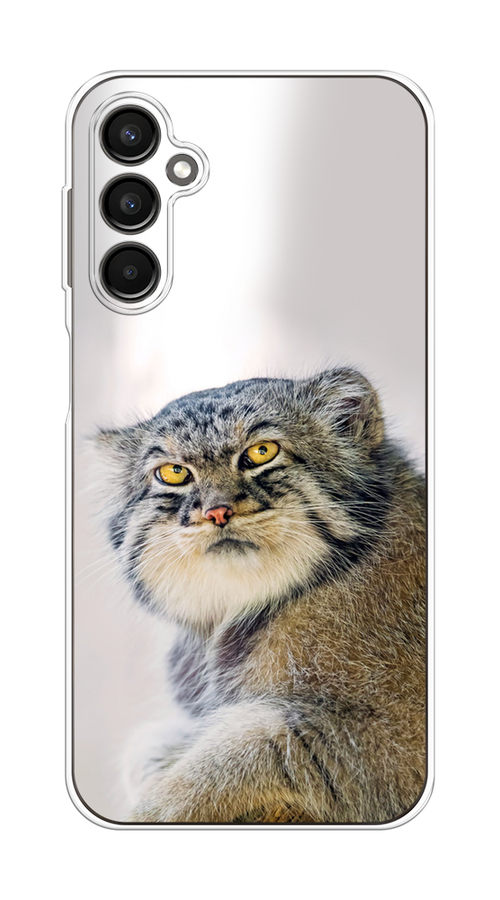 Чехол Homey на Samsung Galaxy A24 "Кот манул 1", Серый;белый;желтый, 2108050-1
Чехол Homey на Samsung Galaxy A24 "Кот манул 1", Серый;белый;желтый, 2108050-1