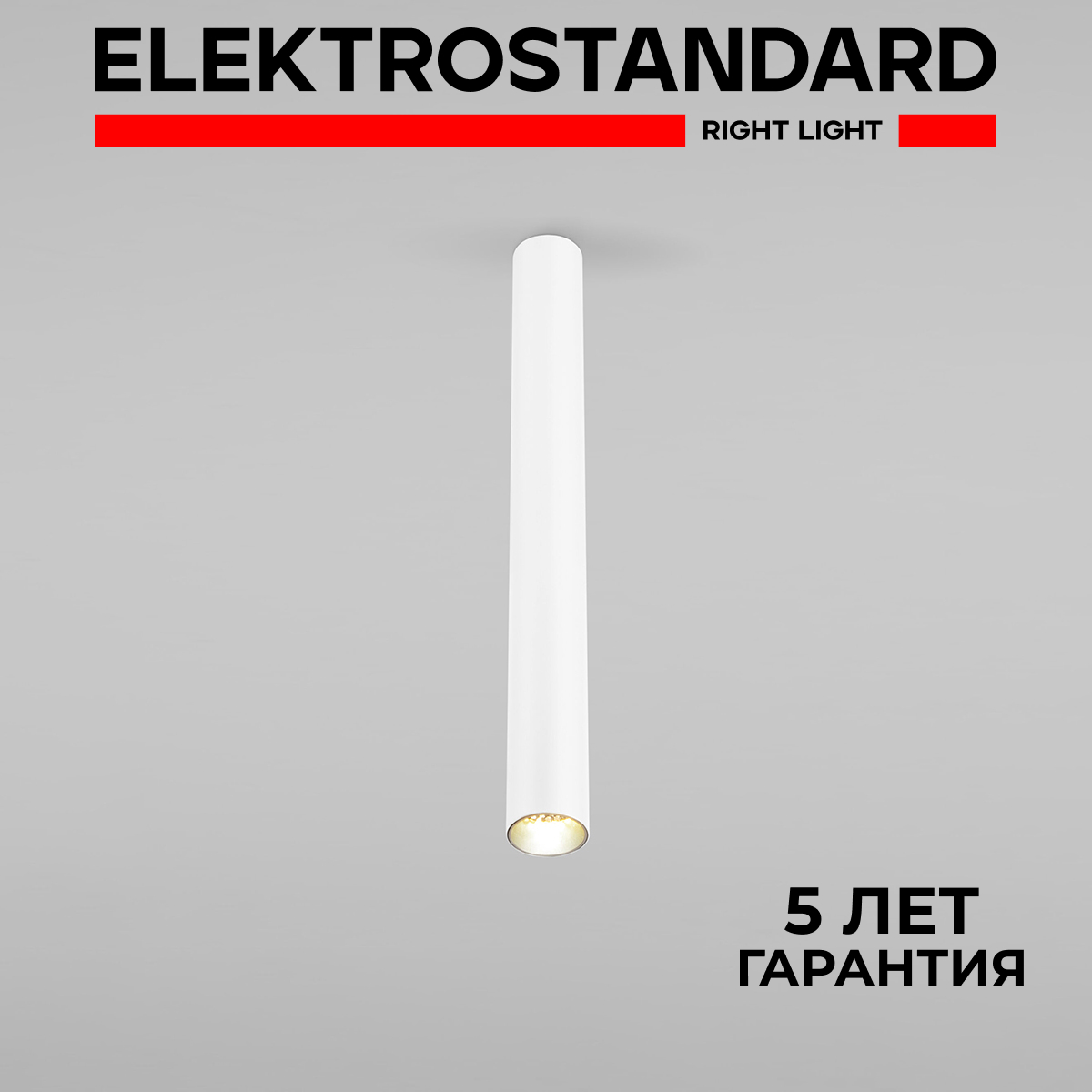 Накладной потолочный LED светильник Elektrostandard Pika 25030/LED 6W 4200К белый, Pika
Накладной потолочный LED светильник Elektrostandard Pika 25030/LED 6W 4200К белый, Pika