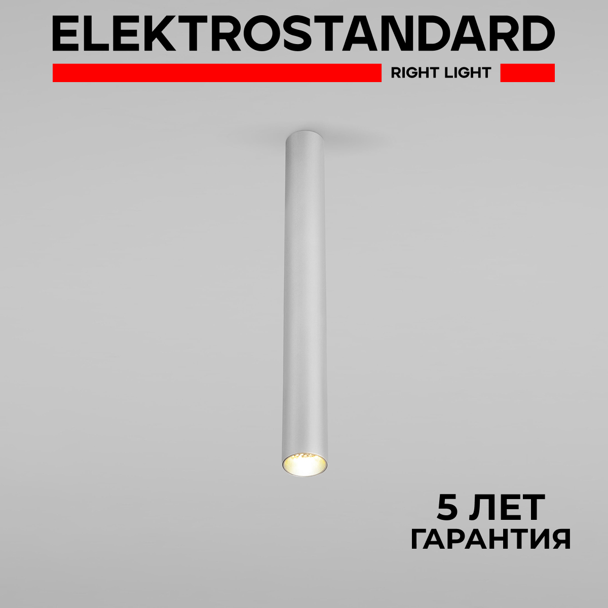 Накладной потолочный LED светильник Elektrostandard Pika 25030/LED 6W 4200К серебро, Pika
Накладной потолочный LED светильник Elektrostandard Pika 25030/LED 6W 4200К серебро, Pika