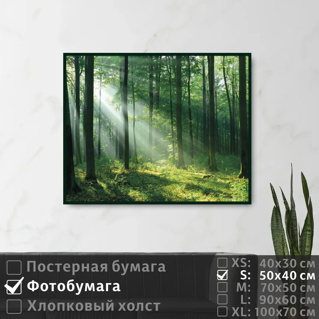 Постер на фотобумаге ПолиЦентр Лучи сквозь листву на рассвете 50х40 см, ЛучиСквозьЛиствуНаРассвете
Постер на фотобумаге ПолиЦентр Лучи сквозь листву на рассвете 50х40 см, ЛучиСквозьЛиствуНаРассвете