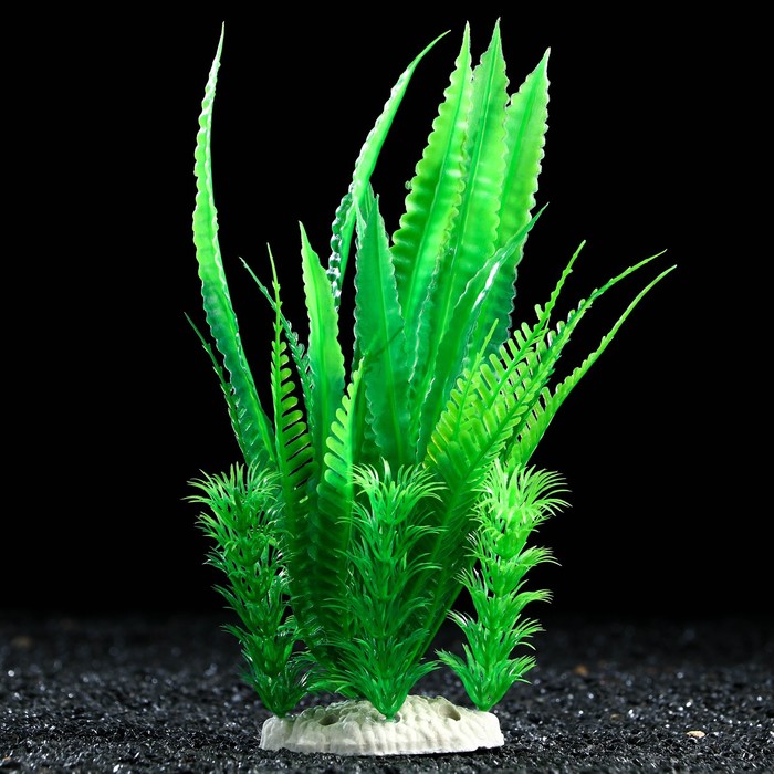 Растение искусственное аквариумное, 22 х 20 х 25 см
Растение искусственное аквариумное, 22 х 20 х 25 см