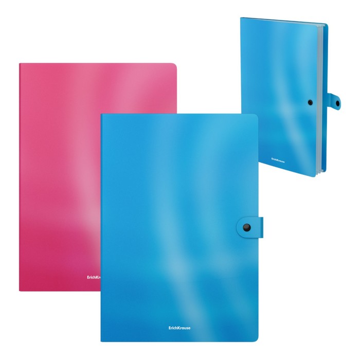 Папка-картотека ErichKrause Glossy Bubble Gum, на кнопке A4, 3 отделения, до 120л., Разноцветный
Папка-картотека ErichKrause Glossy Bubble Gum, на кнопке A4, 3 отделения, до 120л., Разноцветный