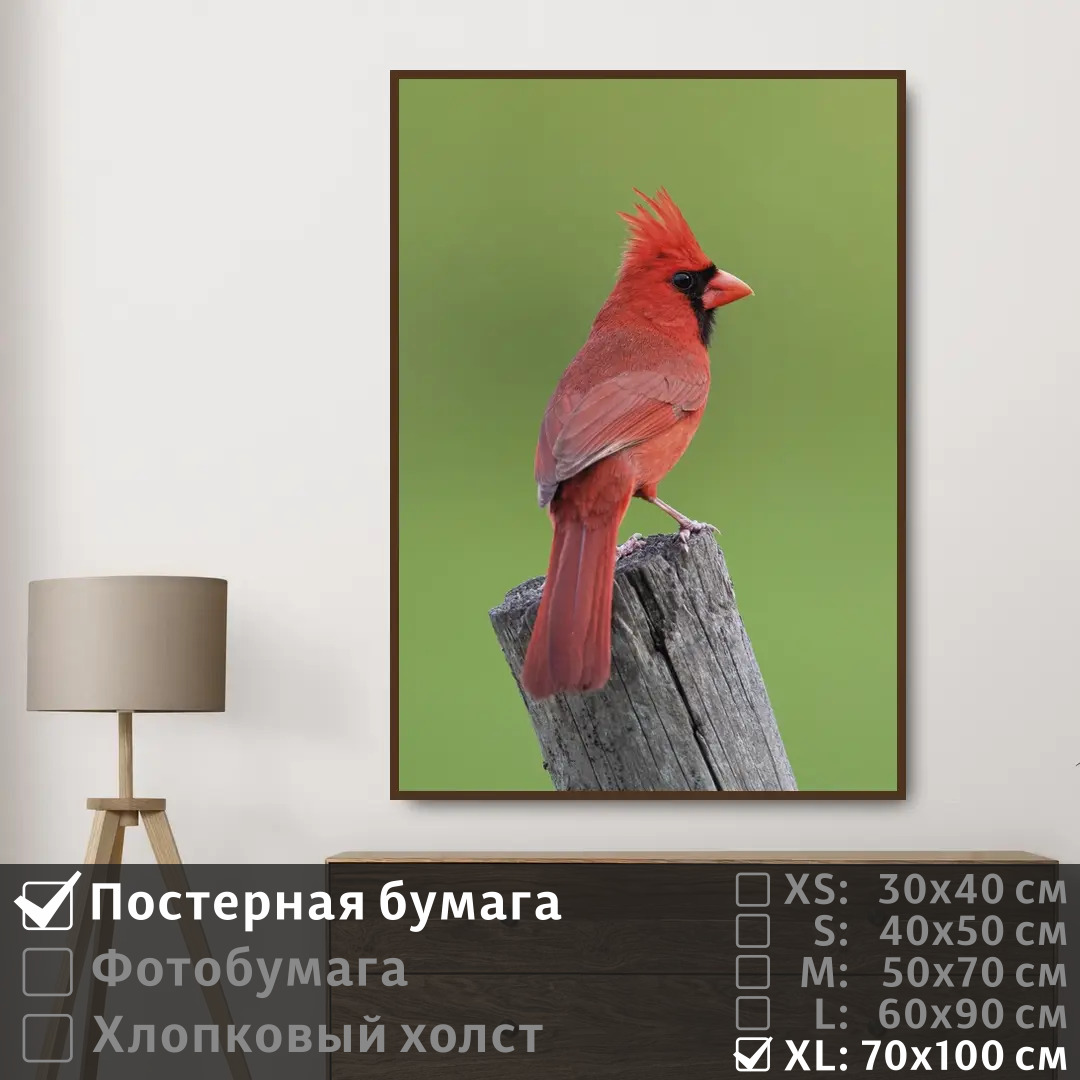 Постер на стену ПолиЦентр Красная птица сидит наблюдает глазами 70х100 см, КраснаяПтицаСидитНаблюдаетГлазами7
Постер на стену ПолиЦентр Красная птица сидит наблюдает глазами 70х100 см, КраснаяПтицаСидитНаблюдаетГлазами7