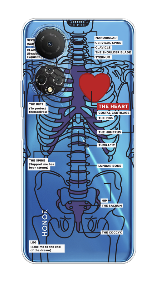 Чехол на Honor X7 2022 "Скелет человека", Прозрачный;синий;красный, 6108850-1
Чехол на Honor X7 2022 "Скелет человека", Прозрачный;синий;красный, 6108850-1