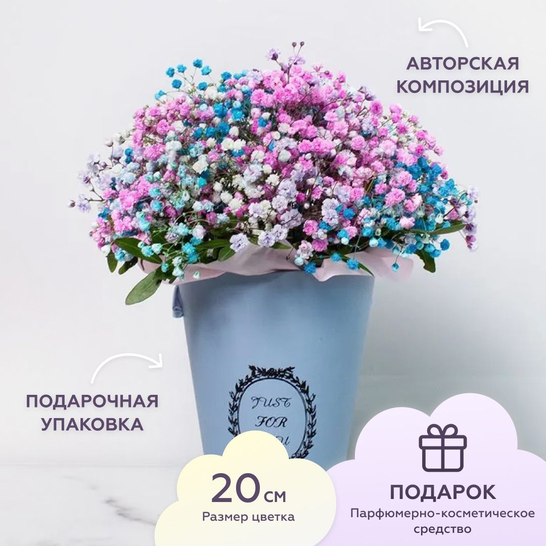Монобукет Лэтуаль Flowers гипсофила 20 см 3 шт. разноцветный Радуга цветочная FLW000731, Радуга цветочная
Монобукет Лэтуаль Flowers гипсофила 20 см 3 шт. разноцветный Радуга цветочная FLW000731, Радуга цветочная