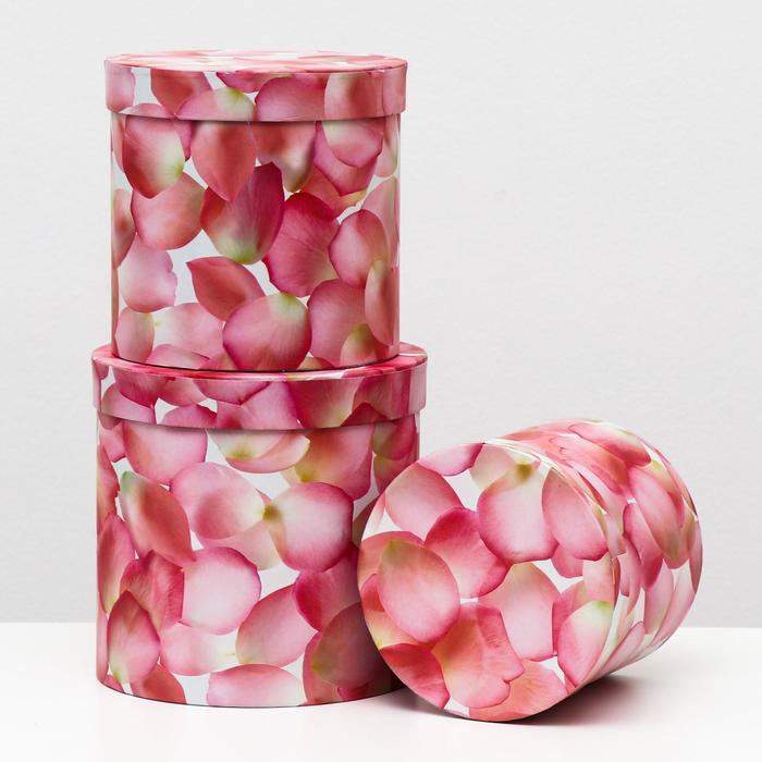 Набор круглых коробок 3 в 1 "Нежно-розовые цветы", 19,5 x 19 - 15,5 x 15 см, Весенняя палитра
Набор круглых коробок 3 в 1 "Нежно-розовые цветы", 19,5 x 19 - 15,5 x 15 см, Весенняя палитра