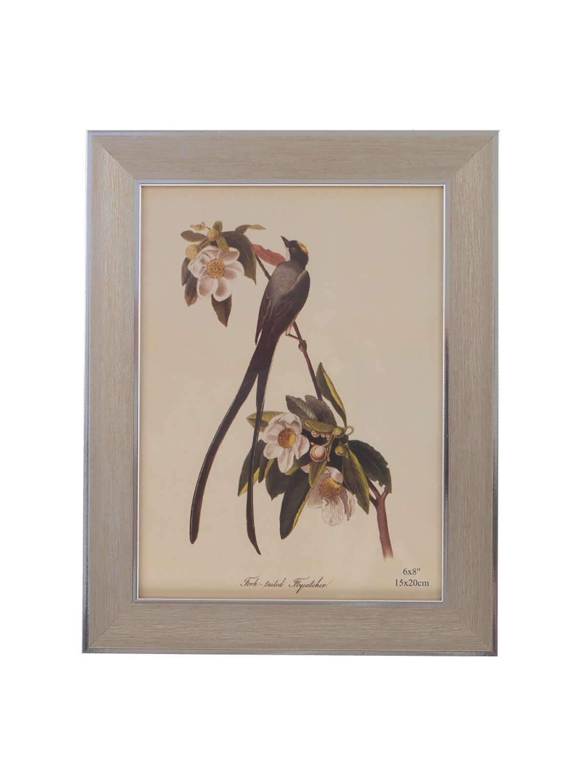 Фоторамка для фото Remecoclub, 15x20 см, Бежевый 
Фоторамка для фото Remecoclub, 15x20 см, Бежевый