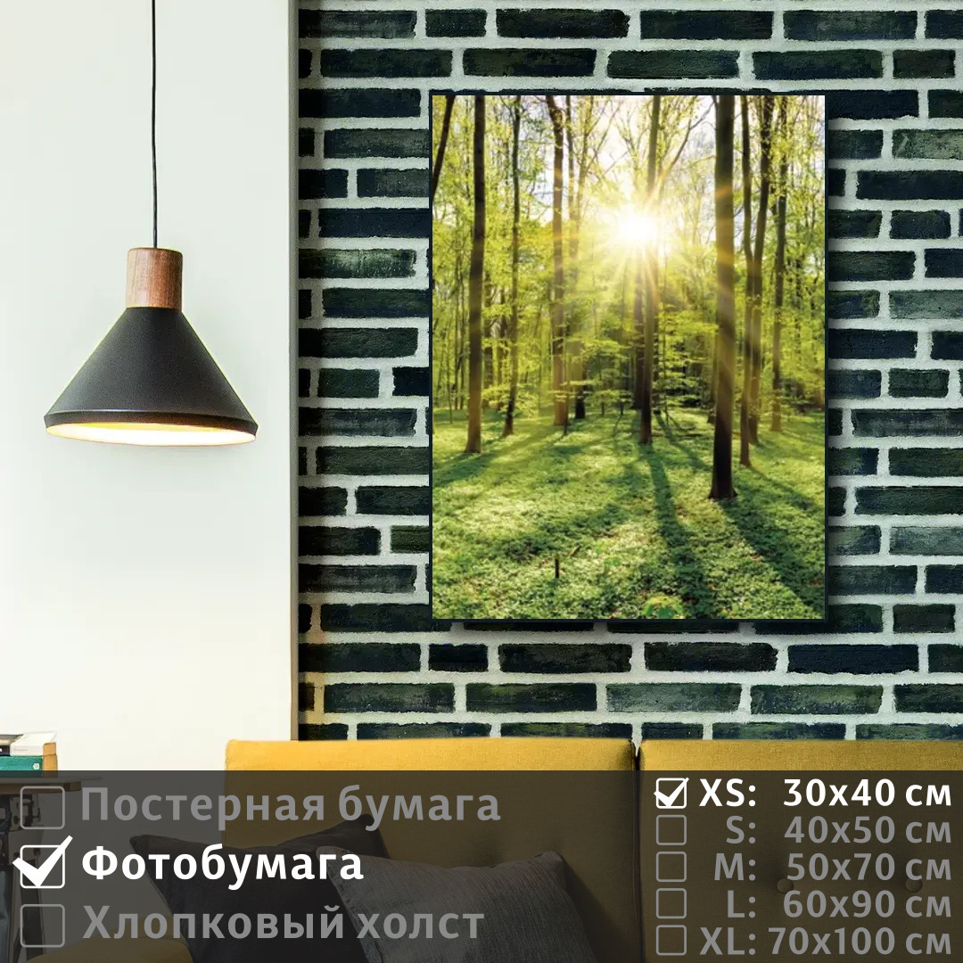 Постер на фотобумаге ПолиЦентр Лучи утреннего солнца в весеннем лесу 30х40 см, ЛучиУтреннегоСолнцаВВесеннемЛесу
Постер на фотобумаге ПолиЦентр Лучи утреннего солнца в весеннем лесу 30х40 см, ЛучиУтреннегоСолнцаВВесеннемЛесу
