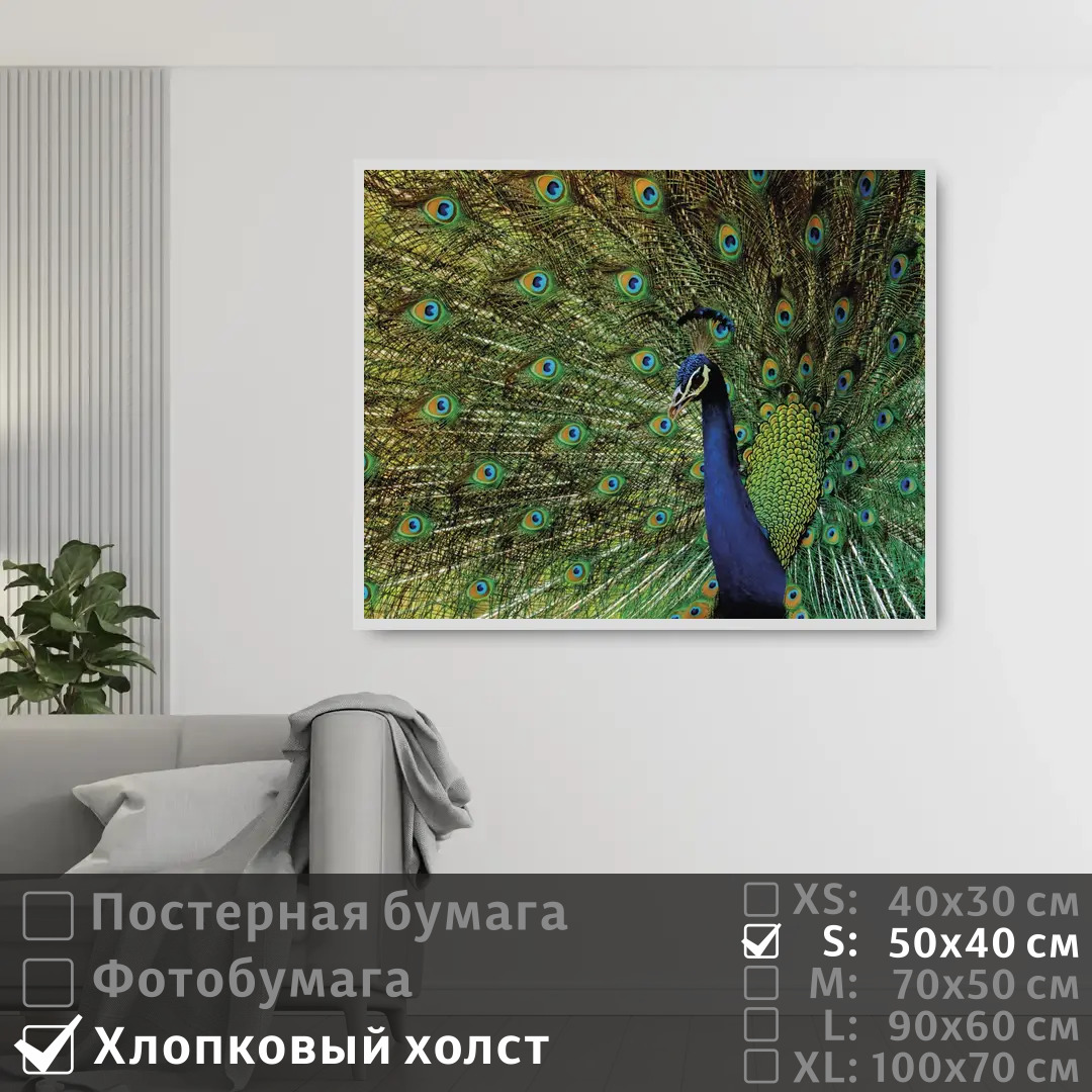 Постер на холсте ПолиЦентр Павлин с распущенным хвостом 50х40 см, ПавлинСРаспущеннымХвостом
Постер на холсте ПолиЦентр Павлин с распущенным хвостом 50х40 см, ПавлинСРаспущеннымХвостом