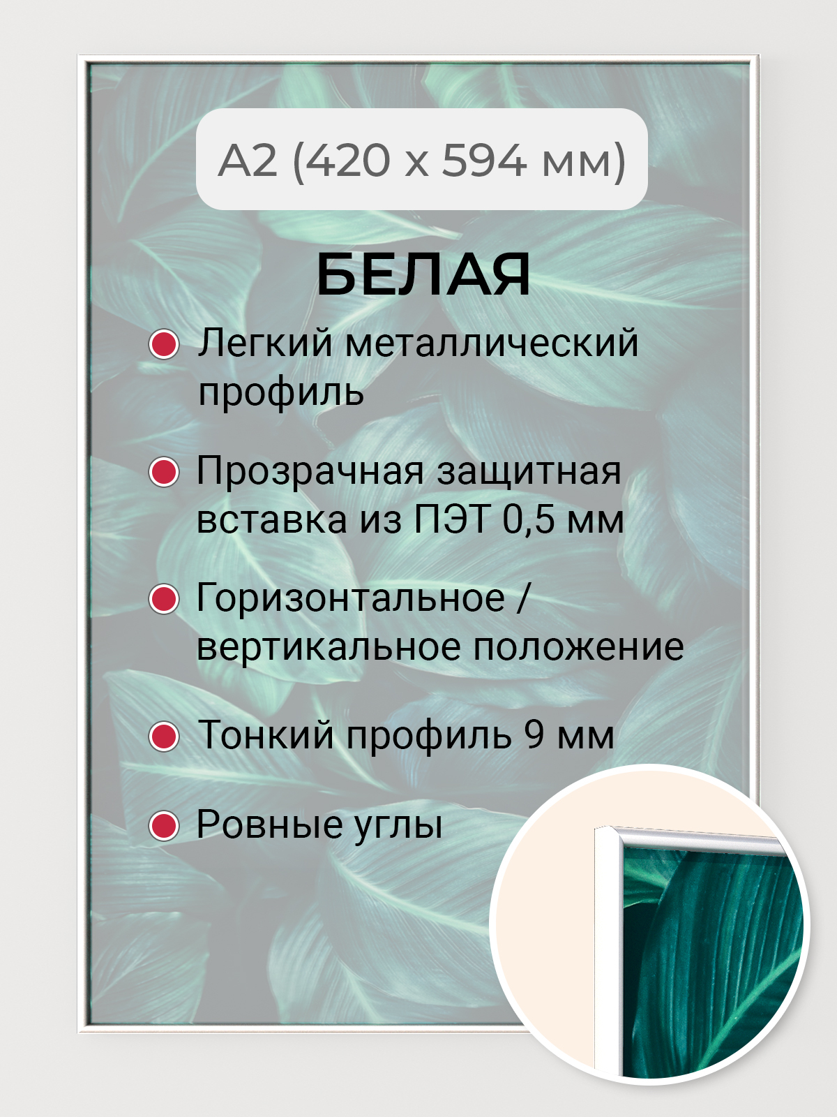 Фоторамка Первое ателье "Белая алюминиевая рамка А2 (420х594 мм)" для фотографий, Белый, фоторамка прямоугольная
Фоторамка Первое ателье "Белая алюминиевая рамка А2 (420х594 мм)" для фотографий, Белый, фоторамка прямоугольная