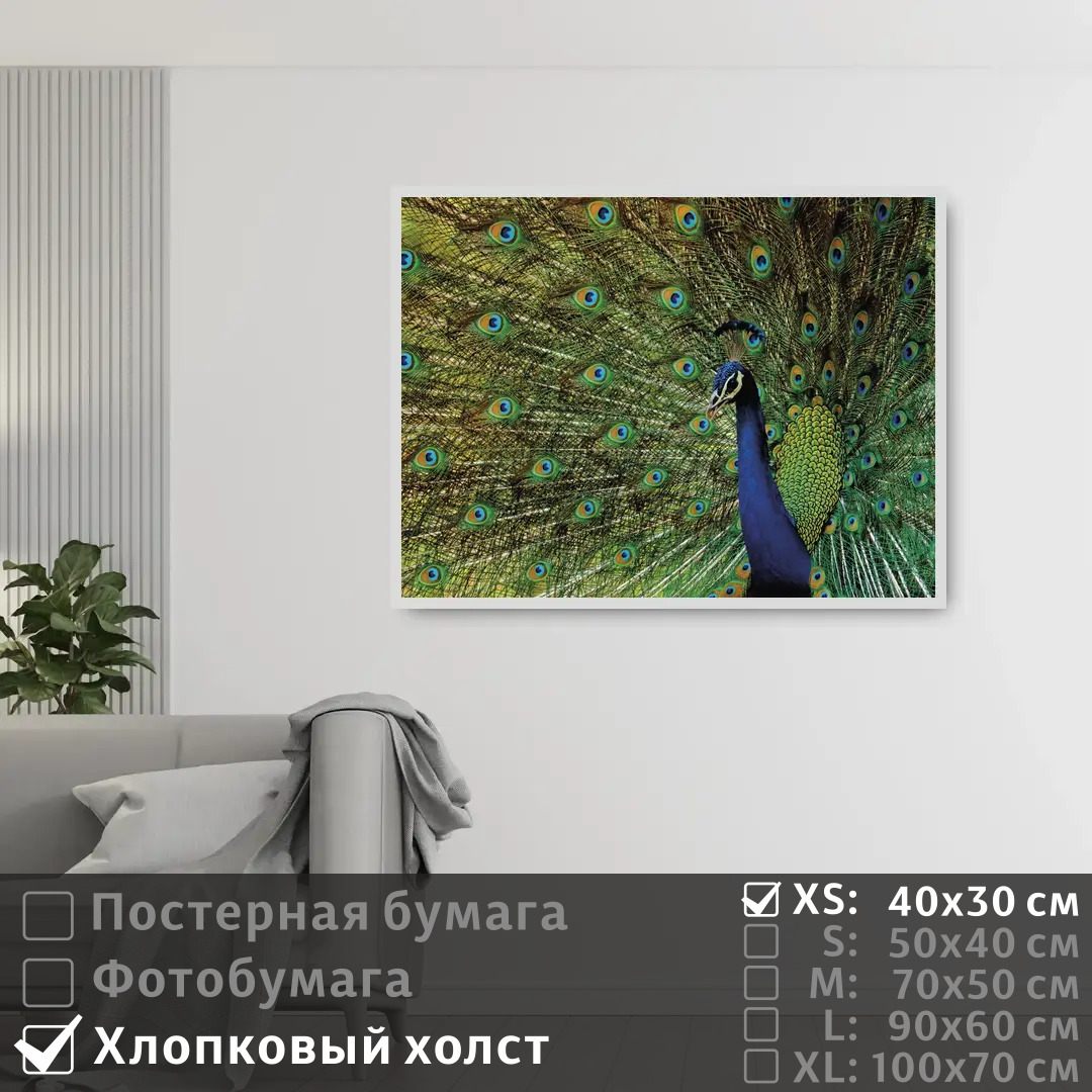Постер на холсте ПолиЦентр Павлин с распущенным хвостом 40х30 см, ПавлинСРаспущеннымХвостом
Постер на холсте ПолиЦентр Павлин с распущенным хвостом 40х30 см, ПавлинСРаспущеннымХвостом