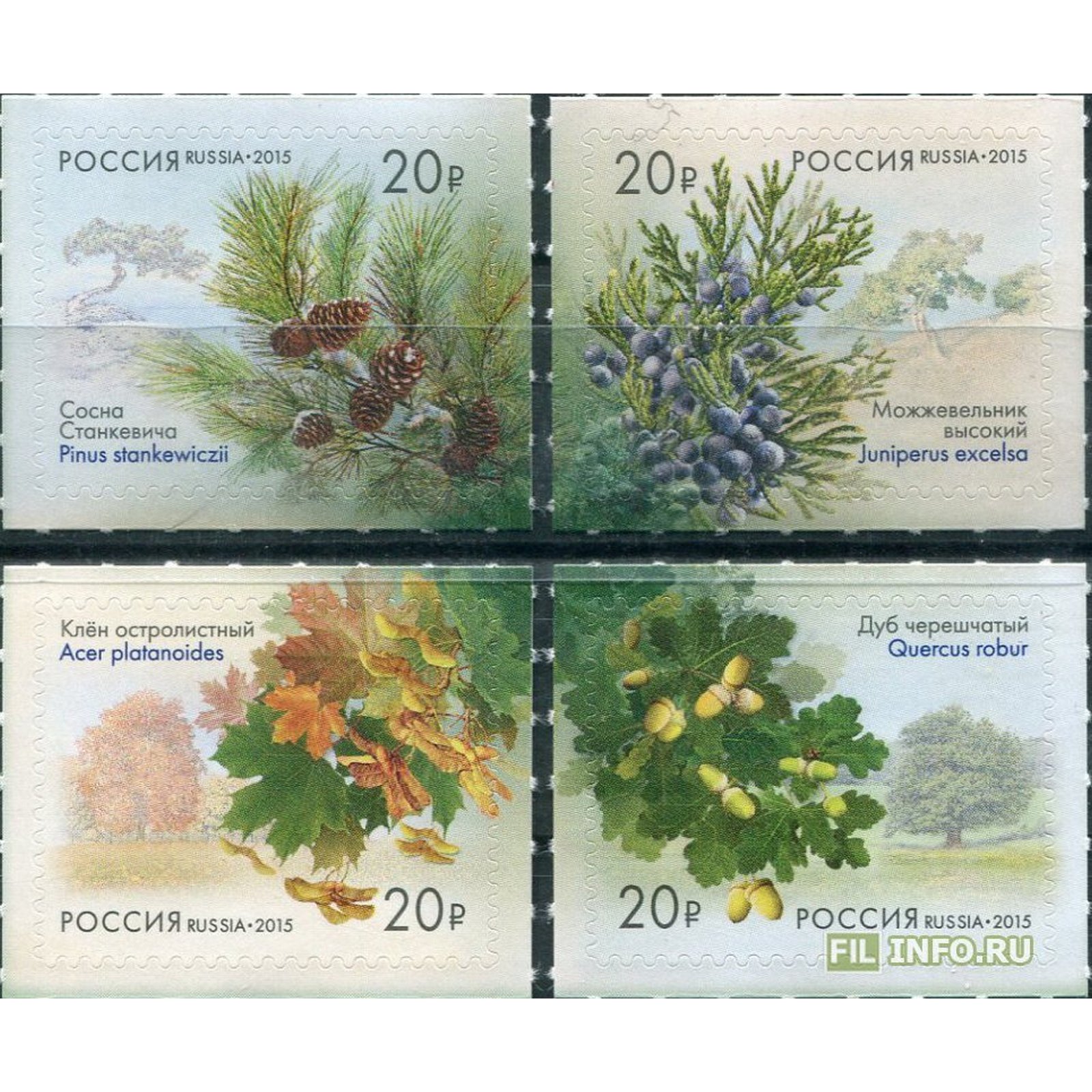 Почтовые марки Россия Всероссийская эколого-патриотическая акция Аллея России Флора, Дерев, ru1930
Почтовые марки Россия Всероссийская эколого-патриотическая акция Аллея России Флора, Дерев, ru1930