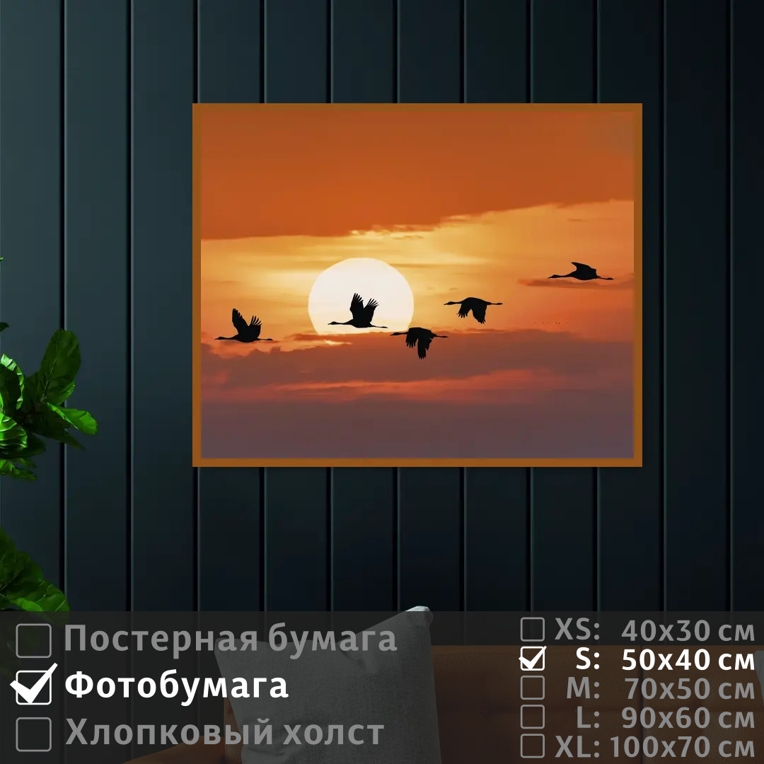 Постер на фотобумаге ПолиЦентр Журавли на закате солнца 50х40 см, ЖуравлиНаЗакатеСолнца
Постер на фотобумаге ПолиЦентр Журавли на закате солнца 50х40 см, ЖуравлиНаЗакатеСолнца