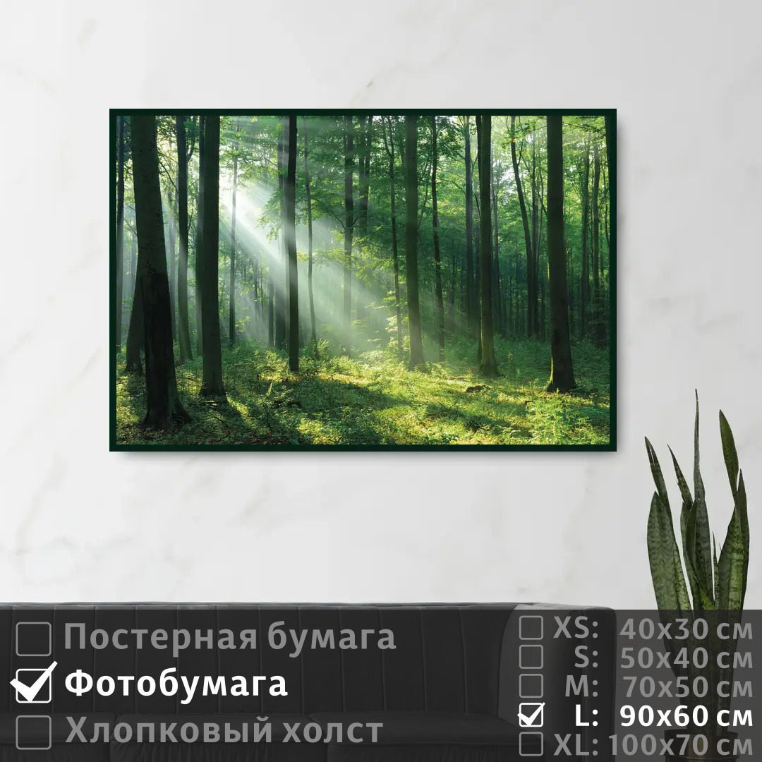 Постер на фотобумаге ПолиЦентр Лучи сквозь листву на рассвете 90х60 см, ЛучиСквозьЛиствуНаРассвете
Постер на фотобумаге ПолиЦентр Лучи сквозь листву на рассвете 90х60 см, ЛучиСквозьЛиствуНаРассвете