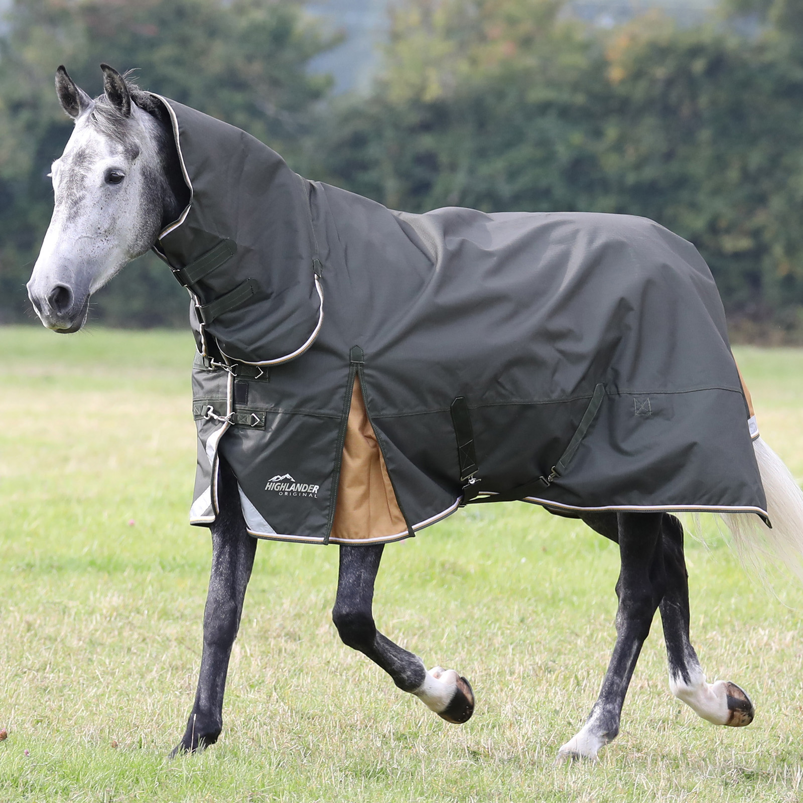 Попона прогулочная для лошади с капором SHIRES HIGHLANDER Plus Lite, 1200D, 50g, 145 см, Зеленый, Plus Lite
Попона прогулочная для лошади с капором SHIRES HIGHLANDER Plus Lite, 1200D, 50g, 145 см, Зеленый, Plus Lite