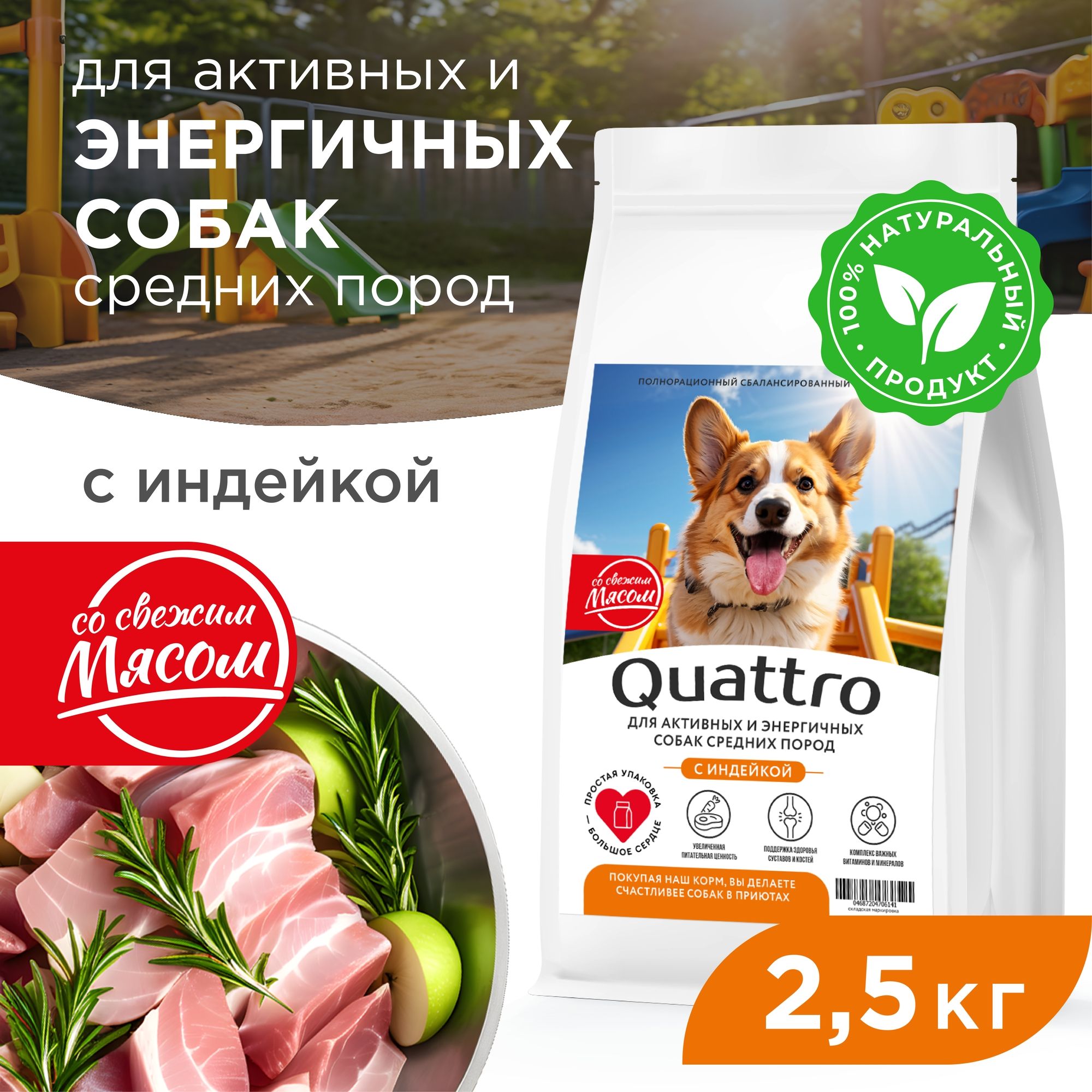 Сухой корм для собак QUATTRO, средние породы, для активных и энергичных, индейка, 2,5 кг
Сухой корм для собак QUATTRO, средние породы, для активных и энергичных, индейка, 2,5 кг