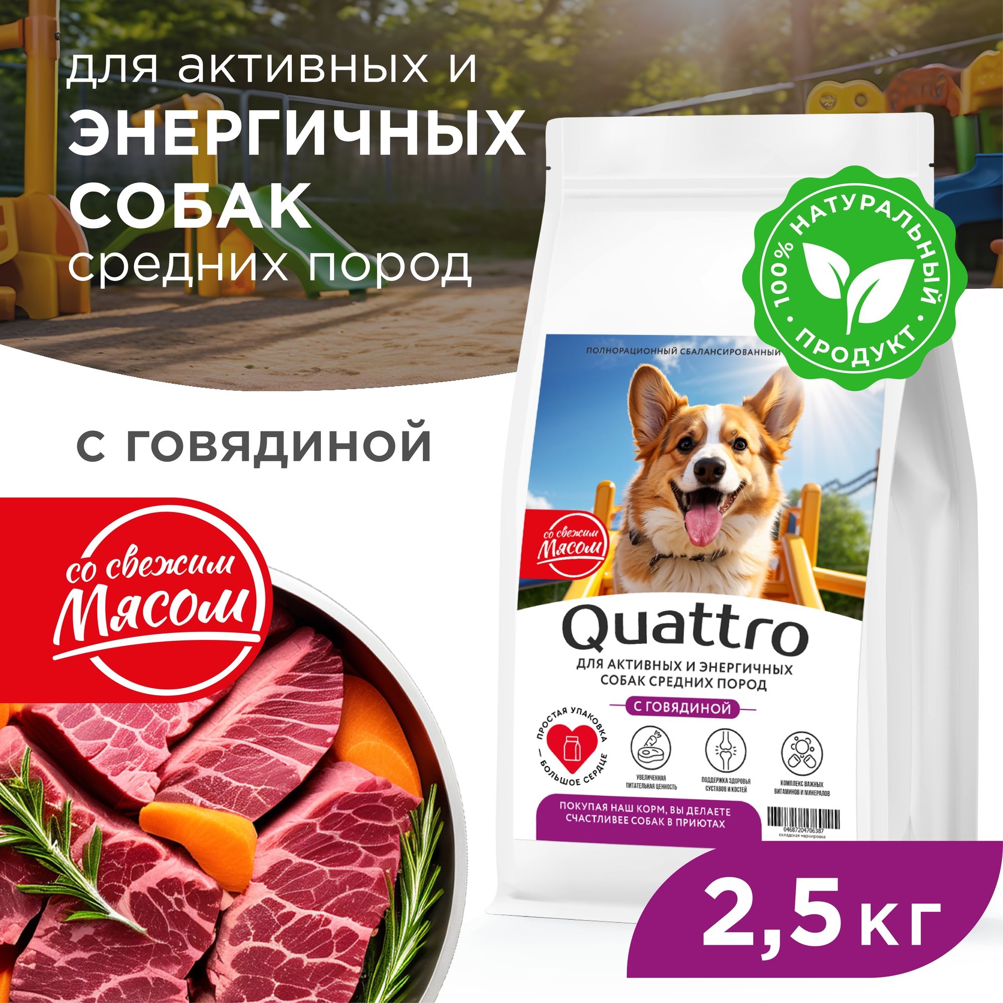 Сухой корм для собак QUATTRO, средние породы, для активных и энергичных, говядина, 2,5 кг
Сухой корм для собак QUATTRO, средние породы, для активных и энергичных, говядина, 2,5 кг