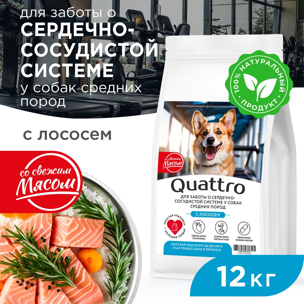 Сухой корм для собак QUATTRO, средние породы, забота о сердце и сосудах, с лососем, 12 кг
Сухой корм для собак QUATTRO, средние породы, забота о сердце и сосудах, с лососем, 12 кг