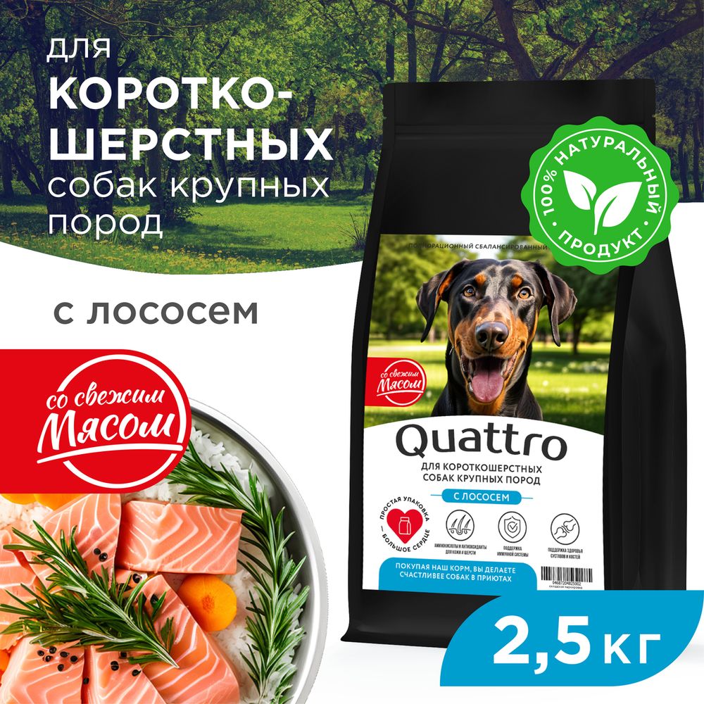 Сухой корм для собак QUATTRO, крупные короткошерстные породы, с лососем, 2,5 кг
Сухой корм для собак QUATTRO, крупные короткошерстные породы, с лососем, 2,5 кг