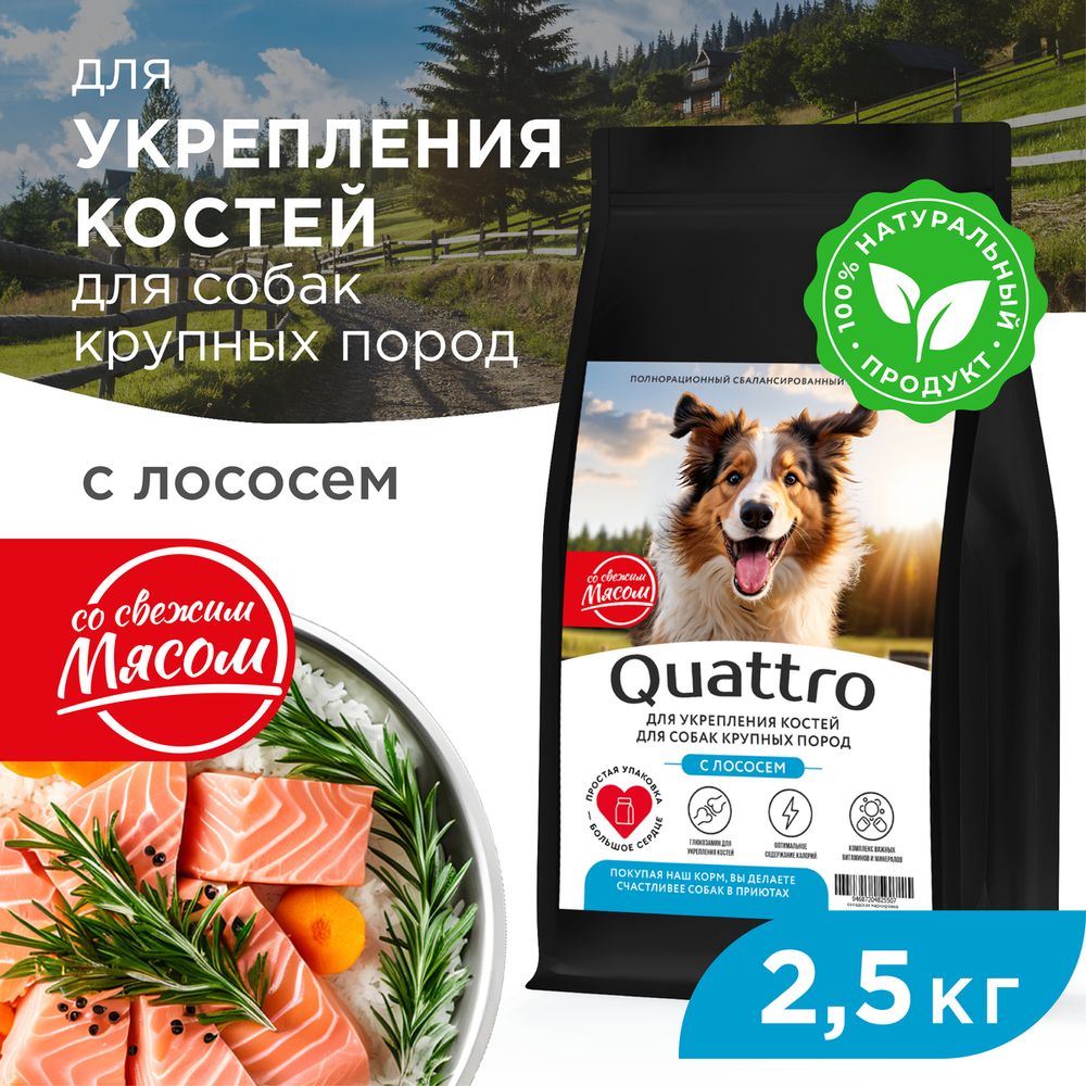 Сухой корм для собак QUATTRO, крупные породы, для укрепления костей, с лососем, 2,5 кг
Сухой корм для собак QUATTRO, крупные породы, для укрепления костей, с лососем, 2,5 кг