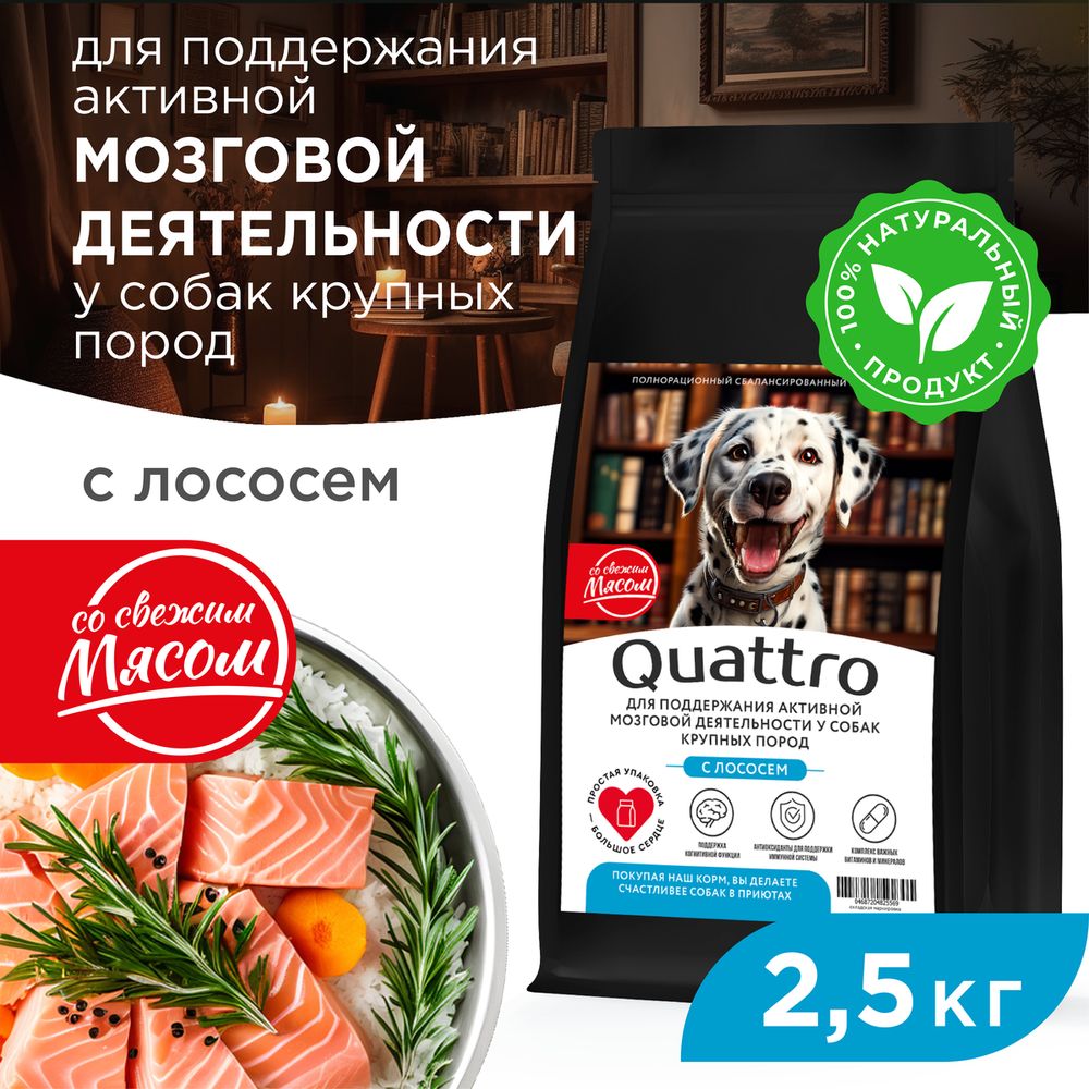 Сухой корм для собак QUATTRO, крупные породы, для мозговой деятельности, лосось, 2,5 кг
Сухой корм для собак QUATTRO, крупные породы, для мозговой деятельности, лосось, 2,5 кг