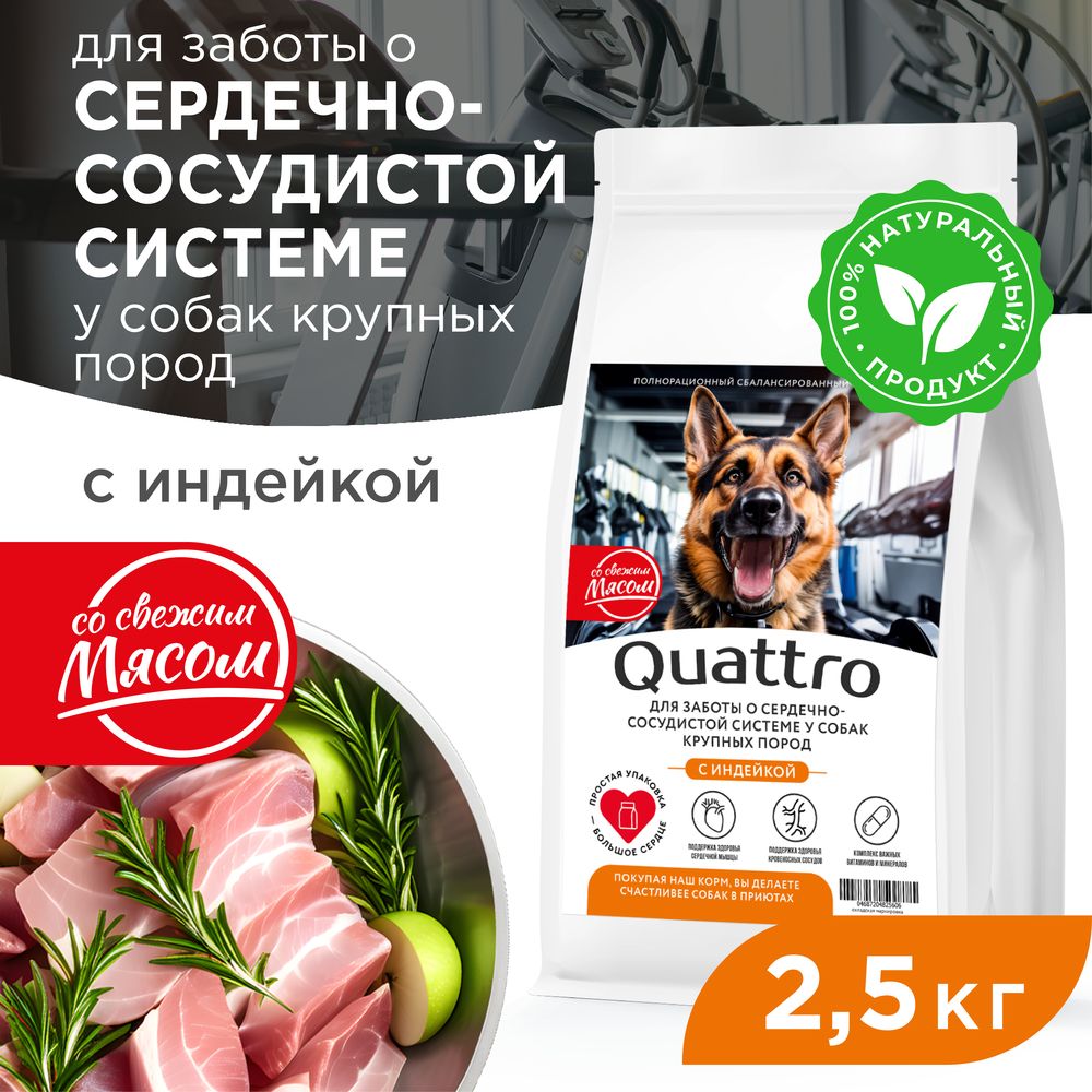 Сухой корм для собак QUATTRO, крупные породы, для сердца и сосудов, с индейкой, 2,5 кг
Сухой корм для собак QUATTRO, крупные породы, для сердца и сосудов, с индейкой, 2,5 кг