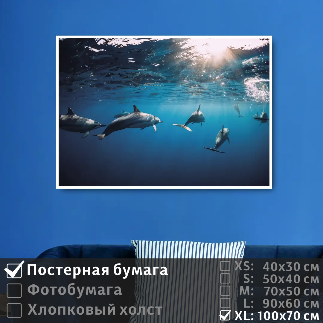 Постер на стену ПолиЦентр Дельфины под водой плывут к солнечным лучам 100х70 см, ДельфиныПодВодойПлывутКСолнечнымЛучам1
Постер на стену ПолиЦентр Дельфины под водой плывут к солнечным лучам 100х70 см, ДельфиныПодВодойПлывутКСолнечнымЛучам1
