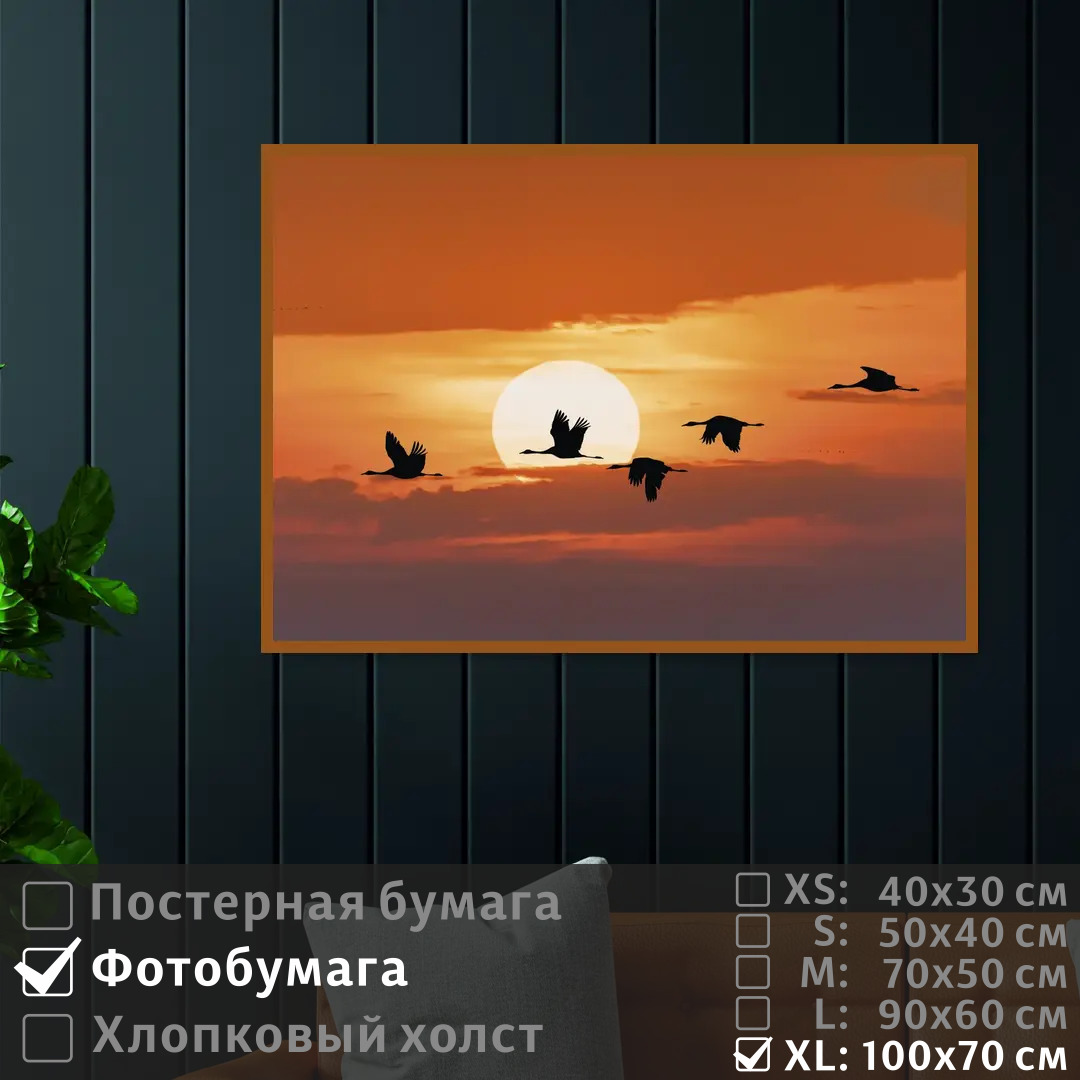 Постер на фотобумаге ПолиЦентр Журавли на закате солнца 100х70 см, ЖуравлиНаЗакатеСолнца1
Постер на фотобумаге ПолиЦентр Журавли на закате солнца 100х70 см, ЖуравлиНаЗакатеСолнца1