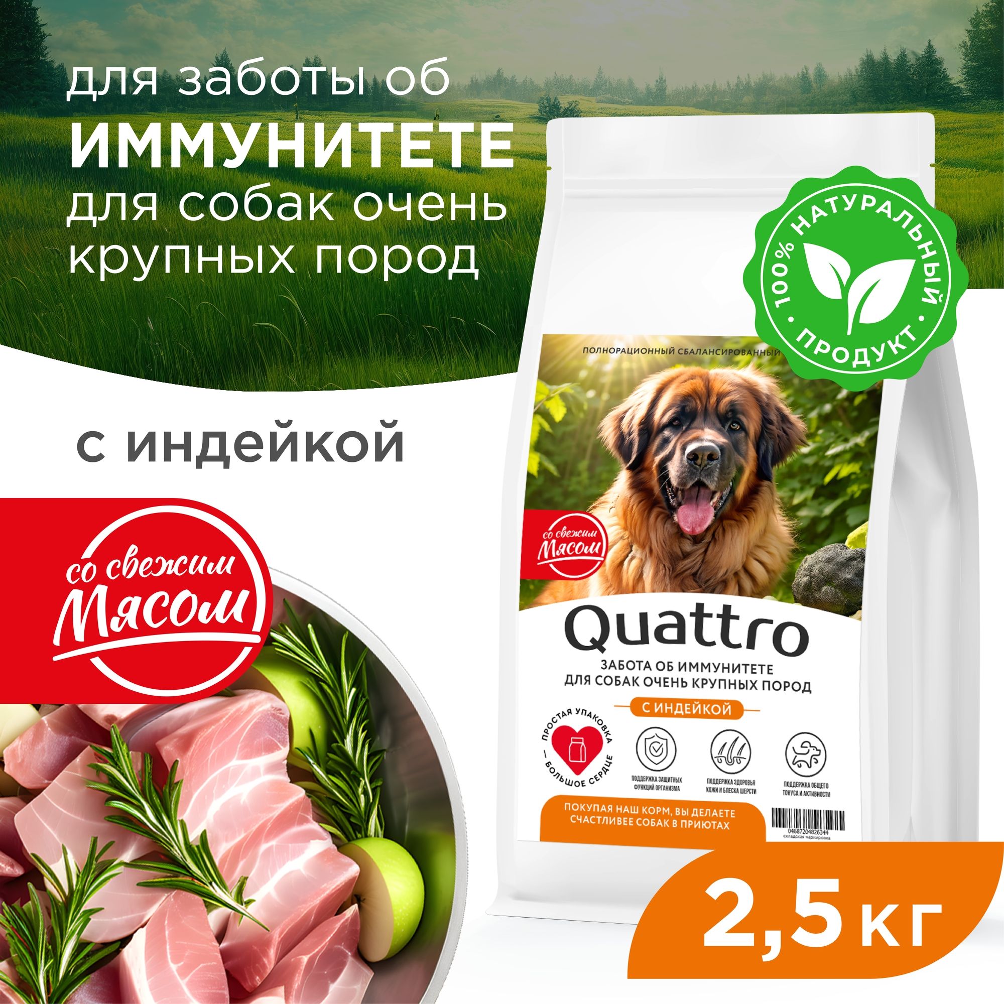 Сухой корм для собак QUATTRO, большие породы, забота об иммунитете, с индейкой, 2,5 кг
Сухой корм для собак QUATTRO, большие породы, забота об иммунитете, с индейкой, 2,5 кг