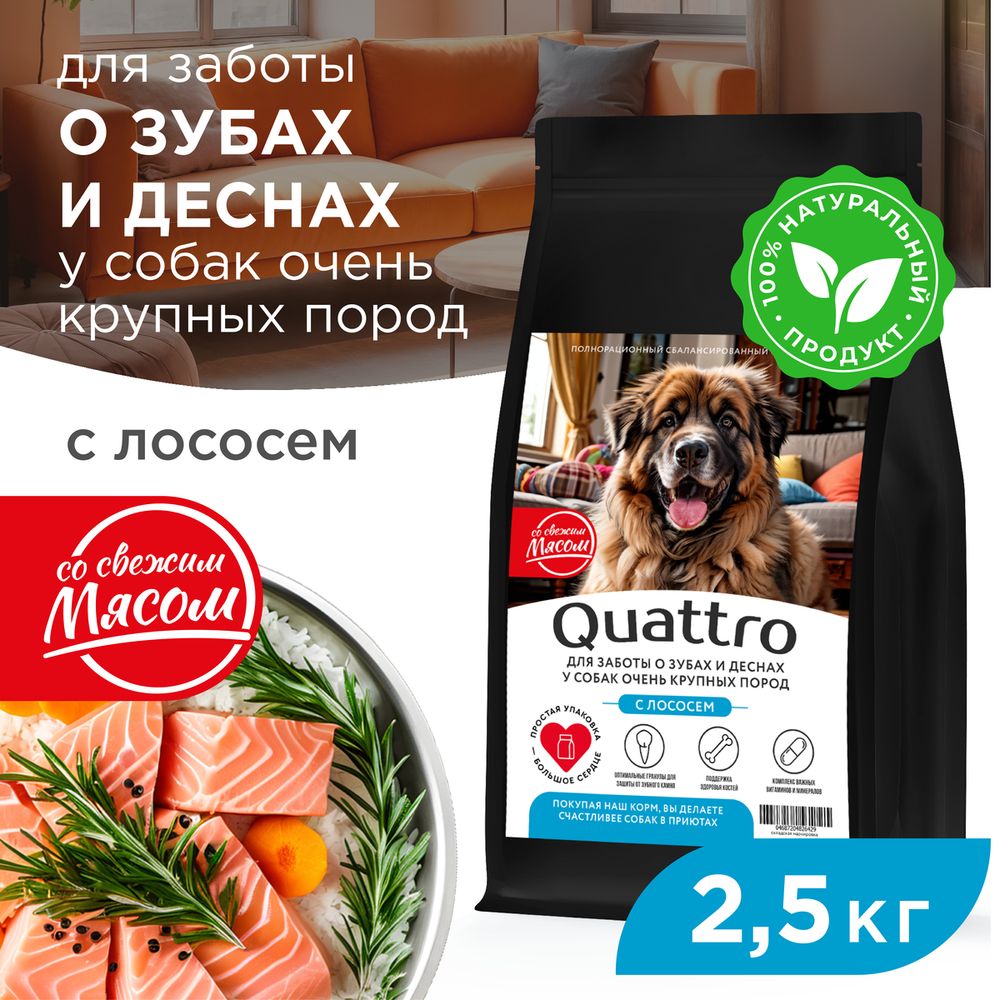 Сухой корм для собак QUATTRO, большие породы, для заботы зубов и десен, с лососем, 2,5 кг
Сухой корм для собак QUATTRO, большие породы, для заботы зубов и десен, с лососем, 2,5 кг