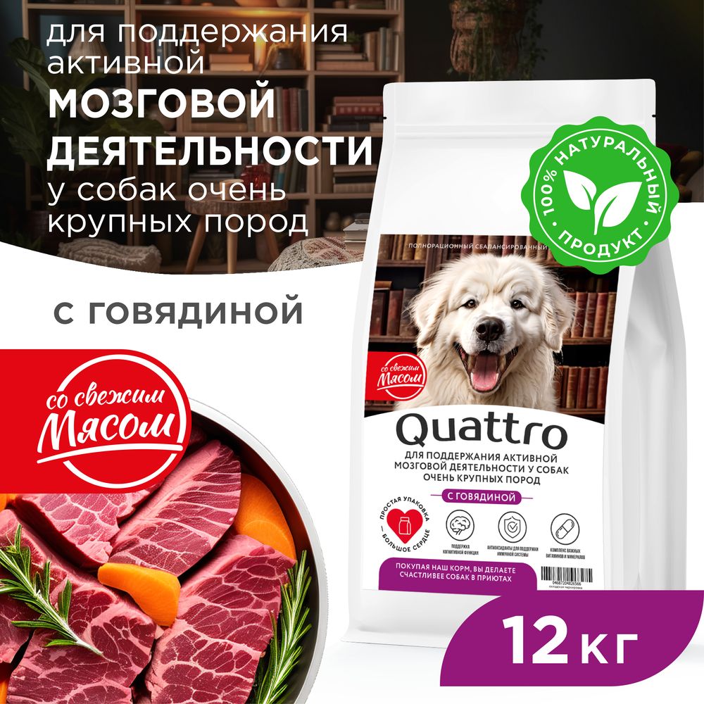 Сухой корм для собак QUATTRO, большие породы, для мозговой деятельности, говядина, 12 кг
Сухой корм для собак QUATTRO, большие породы, для мозговой деятельности, говядина, 12 кг