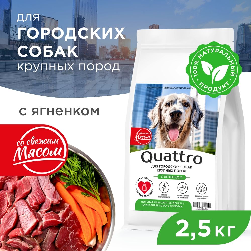 Сухой корм для собак QUATTRO, крупные породы, для живущих в городе, с ягненком, 2,5 кг
Сухой корм для собак QUATTRO, крупные породы, для живущих в городе, с ягненком, 2,5 кг
