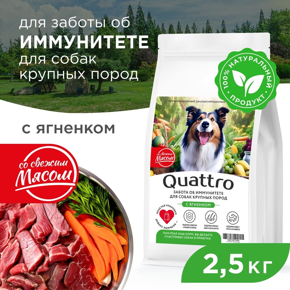 Сухой корм для собак QUATTRO, крупные породы, забота об иммунитете, с ягненком, 2,5 кг
Сухой корм для собак QUATTRO, крупные породы, забота об иммунитете, с ягненком, 2,5 кг