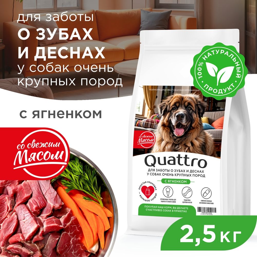 Сухой корм для собак QUATTRO, большие породы, для заботы зубов и десен, с ягненком, 2,5 кг
Сухой корм для собак QUATTRO, большие породы, для заботы зубов и десен, с ягненком, 2,5 кг