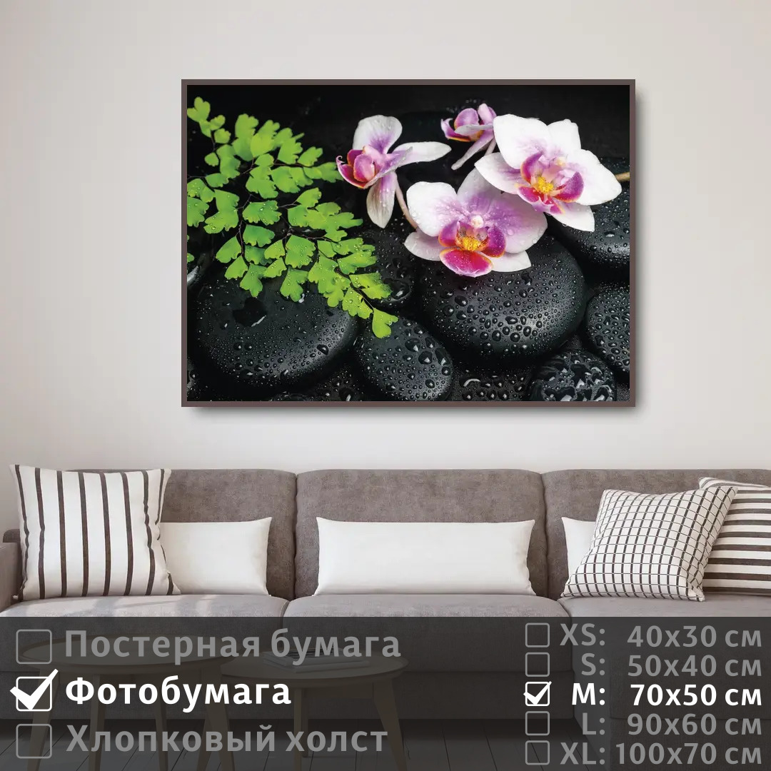 Постер на фотобумаге ПолиЦентр Орхидея и дзен камни с каплями 70х50 см, ОрхидеяИДзенКамниСКаплями 
Постер на фотобумаге ПолиЦентр Орхидея и дзен камни с каплями 70х50 см, ОрхидеяИДзенКамниСКаплями
