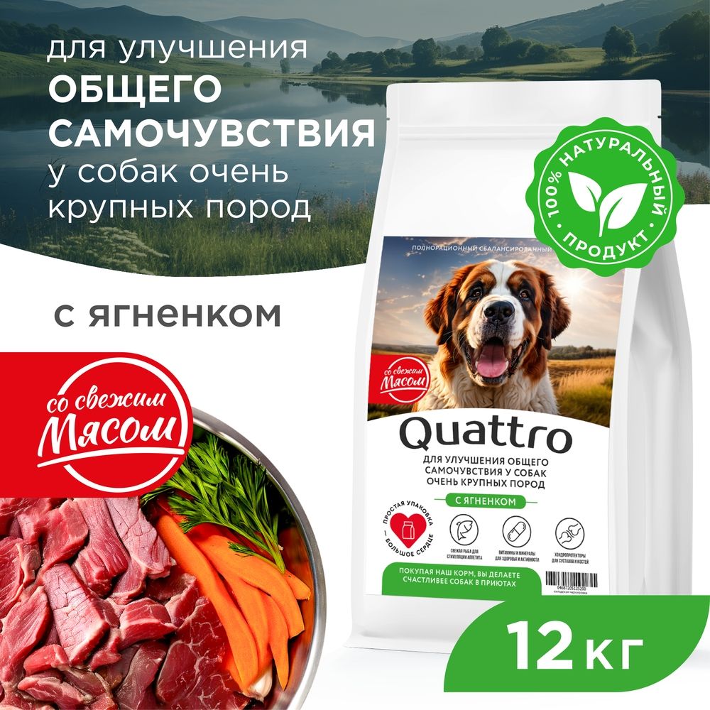Сухой корм для собак QUATTRO, большие породы, улучшение самочувствия, с ягненком, 12 кг
Сухой корм для собак QUATTRO, большие породы, улучшение самочувствия, с ягненком, 12 кг